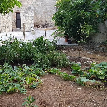 Arodes 1 Homestay Kato Arodhes
