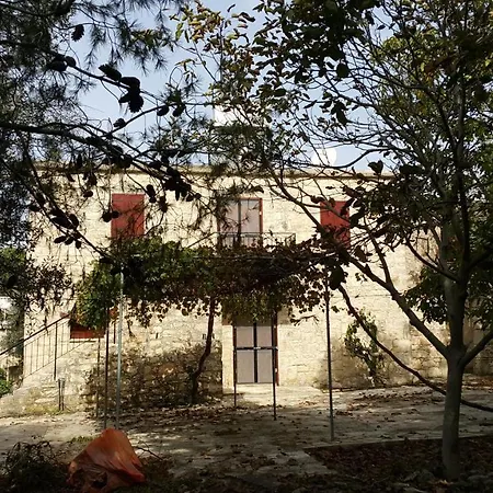 Homestay Arodes 1 *